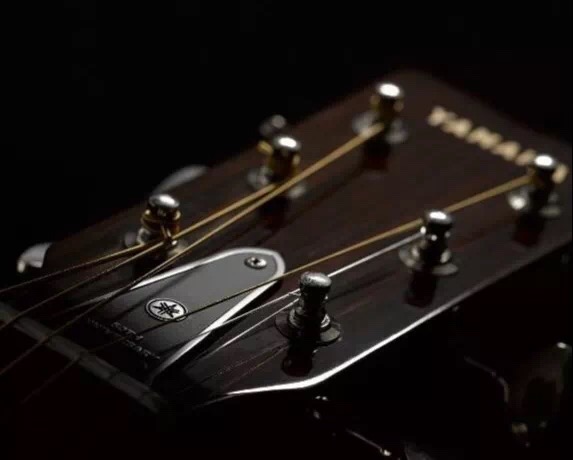 1556594202612944.jpg 14.jpg