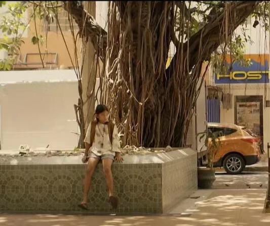 1557040669647929.jpg 1.jpg