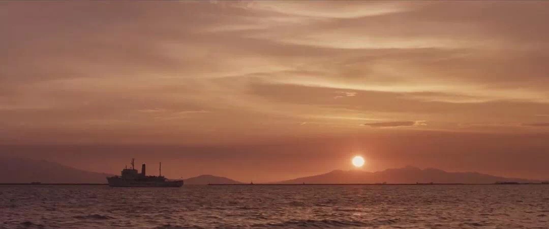 1557040773339520.jpg 7.jpg